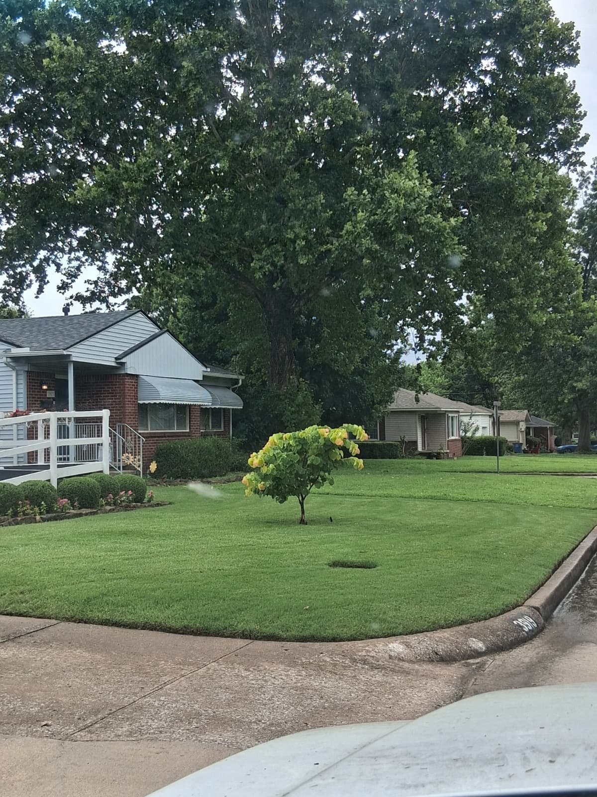 Lawn Maintenance